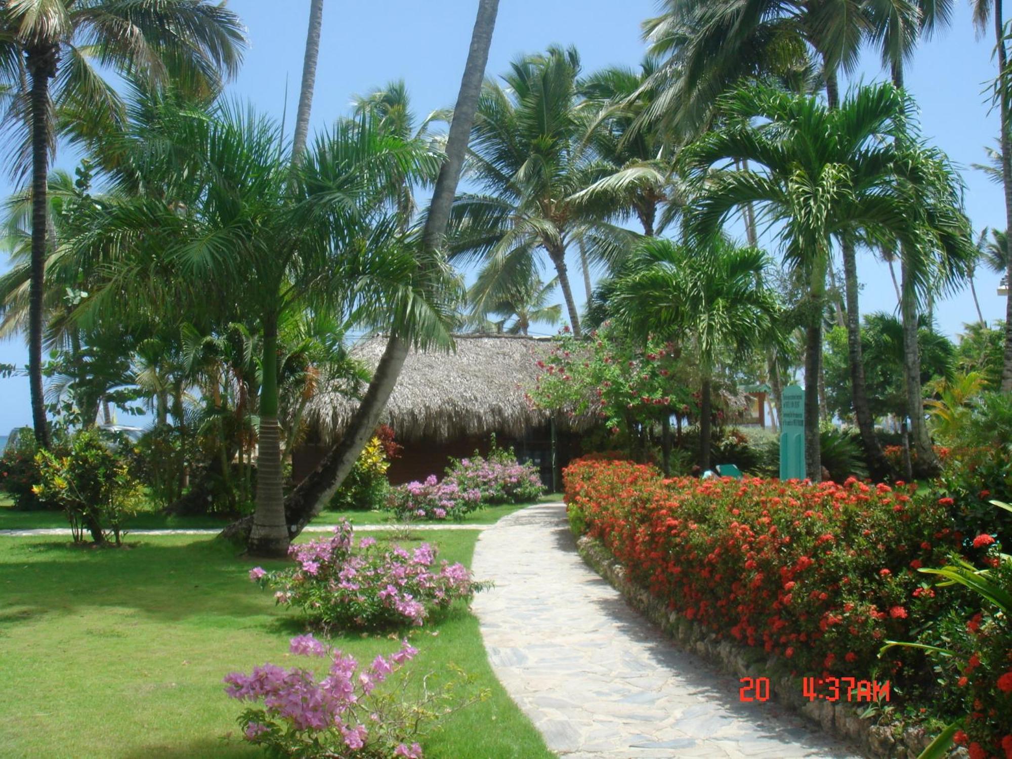 Hotel Playa Colibri ラス・テレナス エクステリア 写真